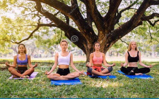group-young-women-doing-yoga-park-morning-female-friend-exercising-green-grass-yoga-mat-group-young-woman-164409662